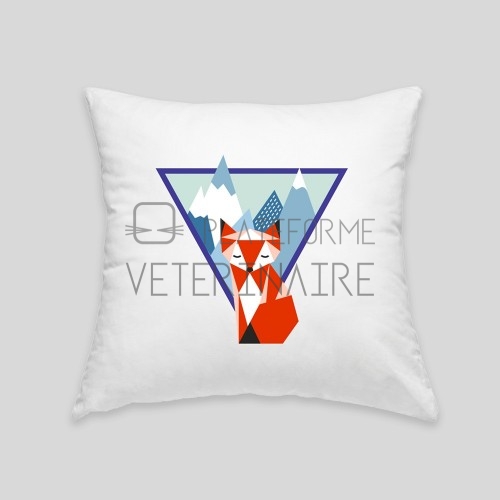 Coussin renard