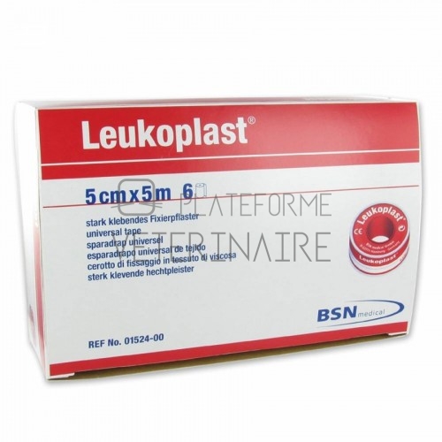 SPARADRAP OXYDE DE ZINC LEUKOPLAST 5M X 5 CM