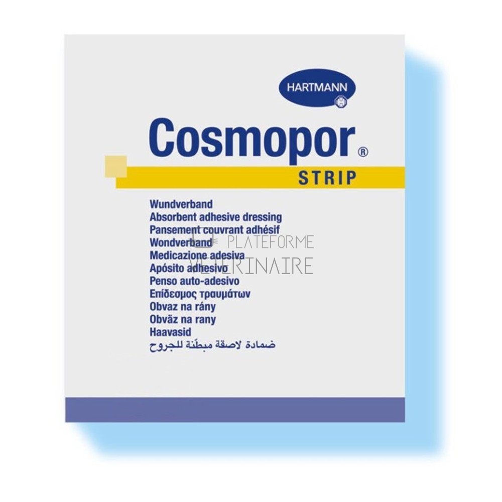 COSMOPOR BANDE ADHESIVE MULTI-EXTENSIBLE 5M X 8CM