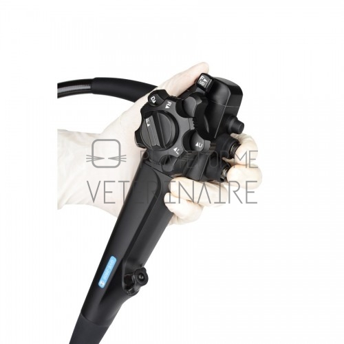 VIDEO GASTROSCOPE GVE-2600