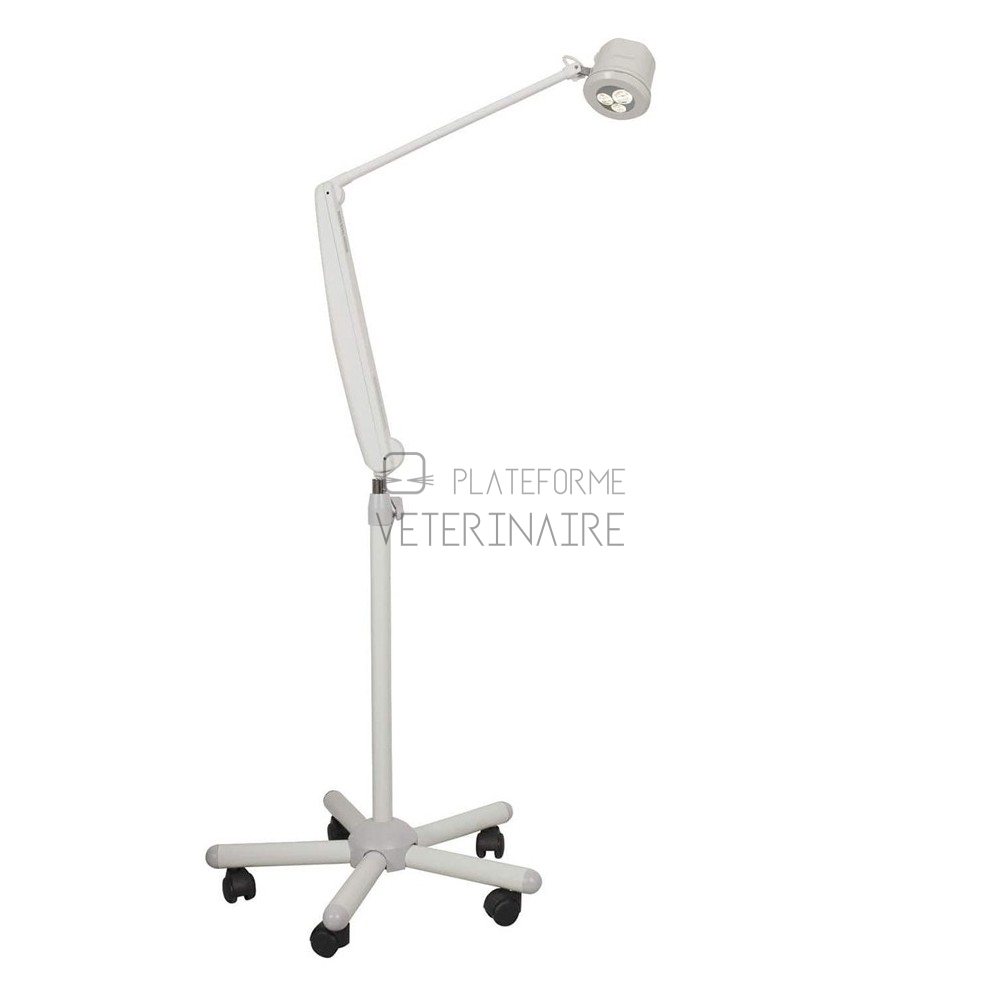 STARLED 1 EVO BRAS FLEXIBLE SUR PIED ROULANT