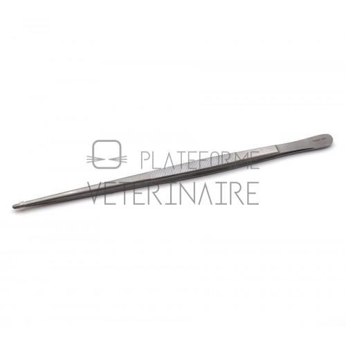 PINCE DISSECTION S/G 25 CM