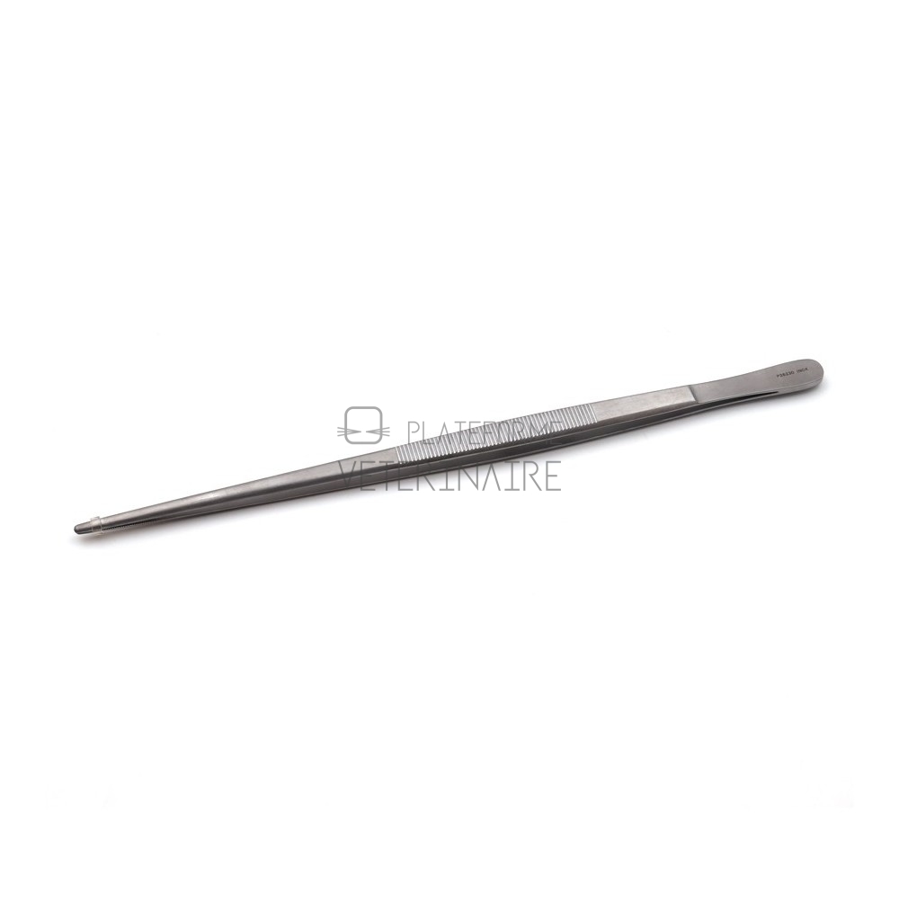 PINCE DISSECTION S/G 25 CM