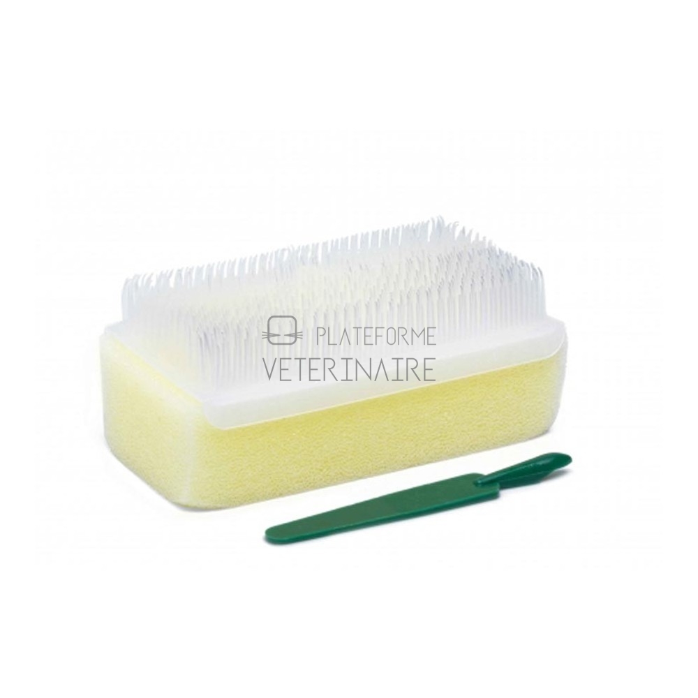 BROSSE A ONGLES CHIRURGICALE SECHE STERILE (X 25)