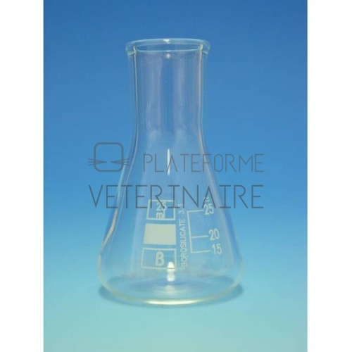 ERLENMEYER VERRE BORO COL ETROIT 25 ML