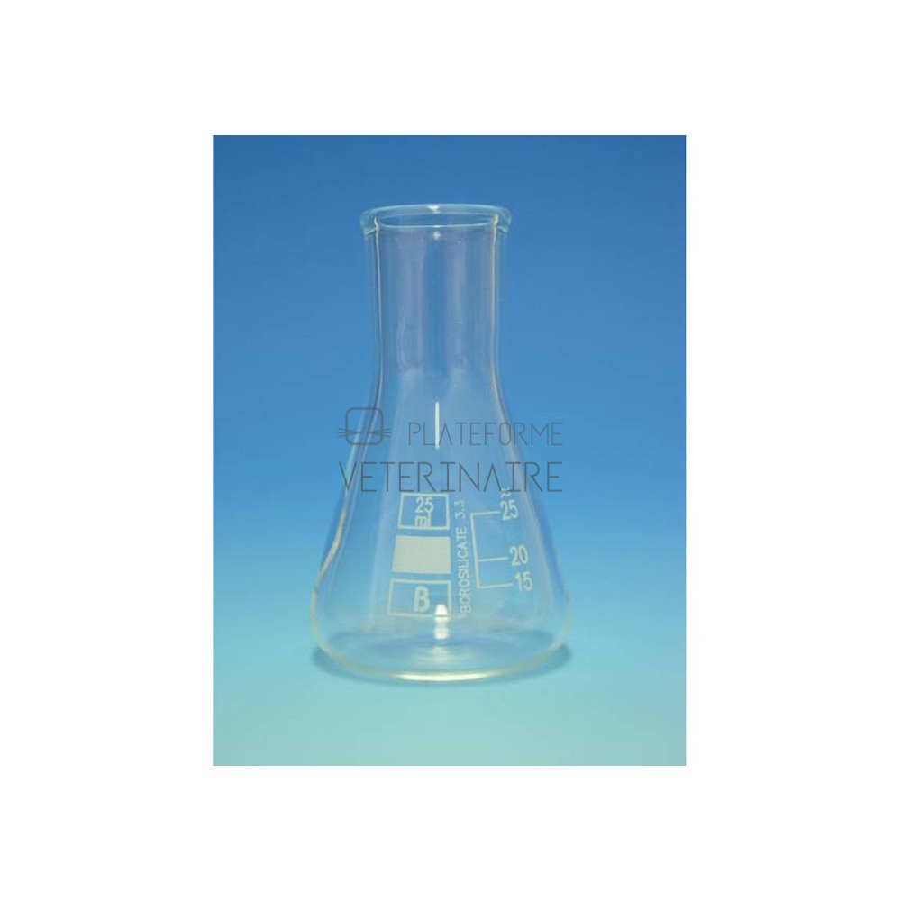 ERLENMEYER VERRE BORO COL ETROIT 25 ML