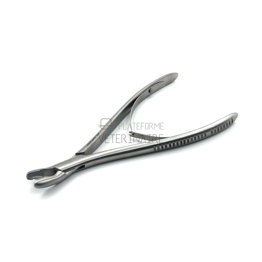 PINCE GOUGE LUER SIMPLE ARTICULATION DROITE 20 CM - MORS 10 MM