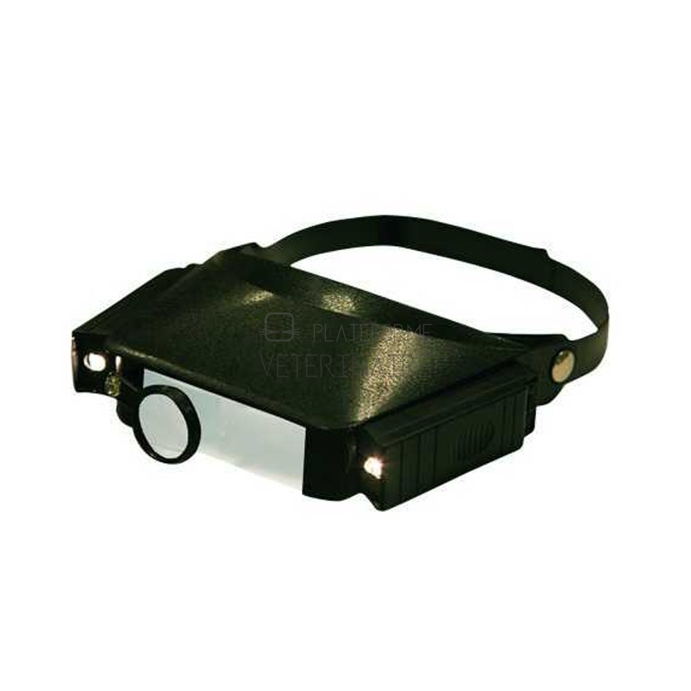 LUNETTE LOUPE - GROSSISSEMENT VARIABLE 1,8 A 4,8