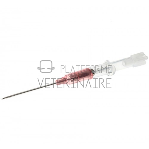 CATHETER COURT JELCO EMBASE PLAST. PEDIATRIQUE 24 G (BTE DE 50)