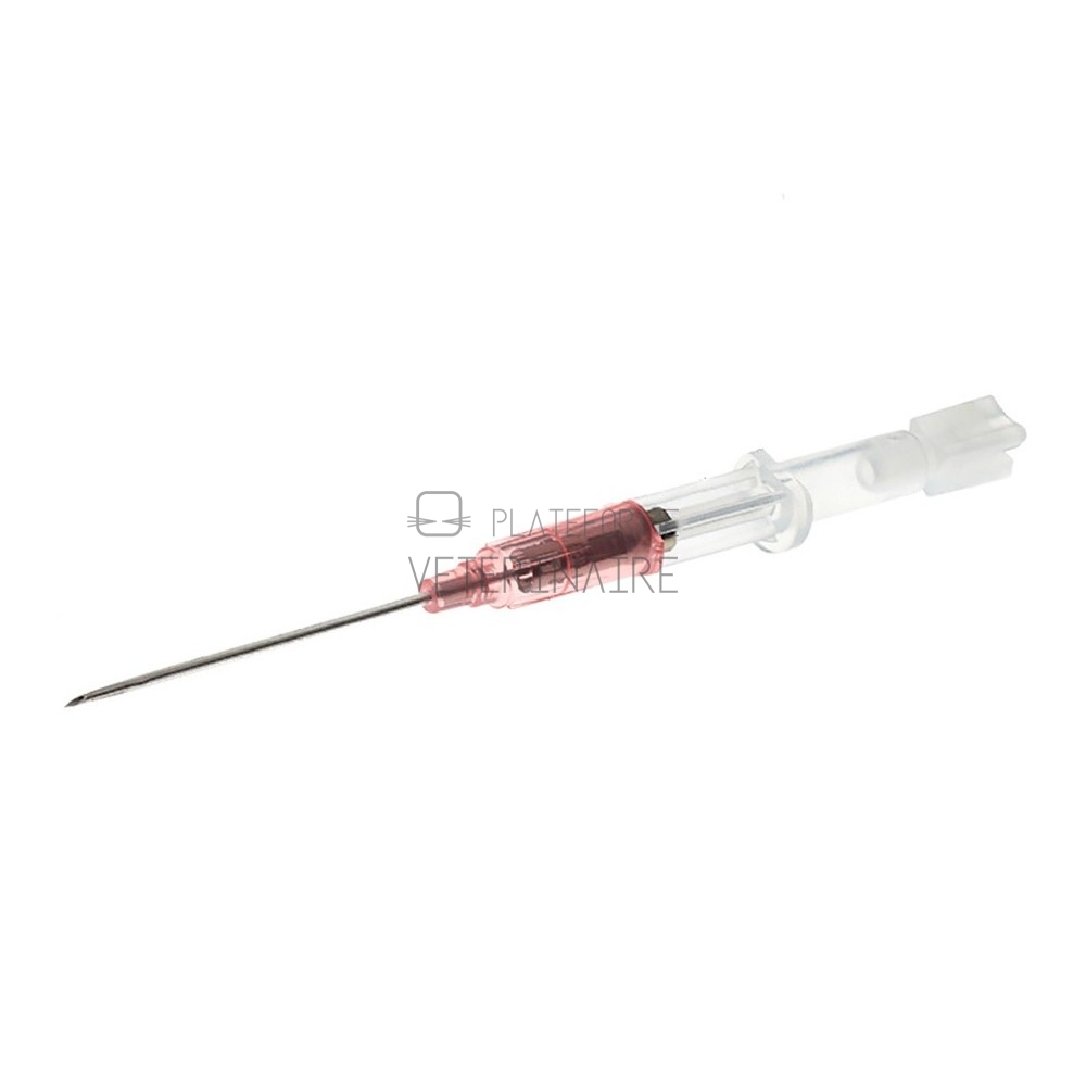 CATHETER COURT JELCO EMBASE PLAST. PEDIATRIQUE 24 G (BTE DE 50)