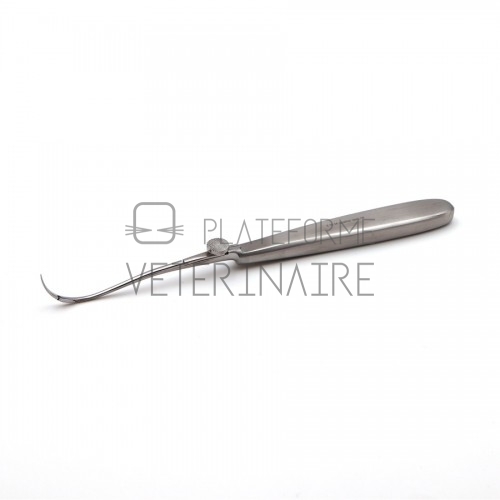 AIGUILLE REVERDIN A PAROI MOYENNE 20 CM TRES CBE