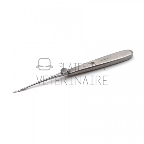 AIGUILLE DE REVERDIN 20 CM DROIT