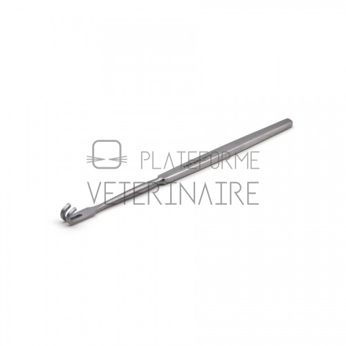 ECARTEUR TRACHEAL MOUSSE 2 DENTS 16 CM