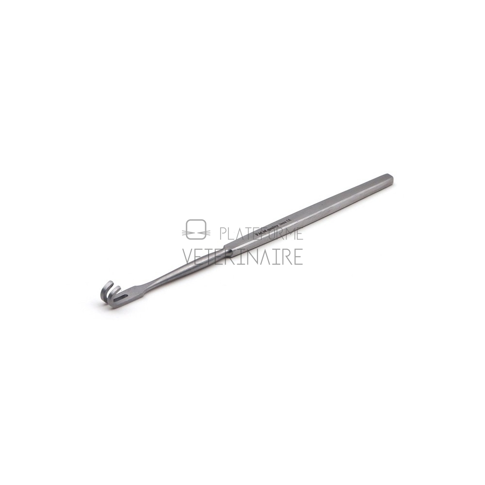 ECARTEUR TRACHEAL MOUSSE 2 DENTS 16 CM