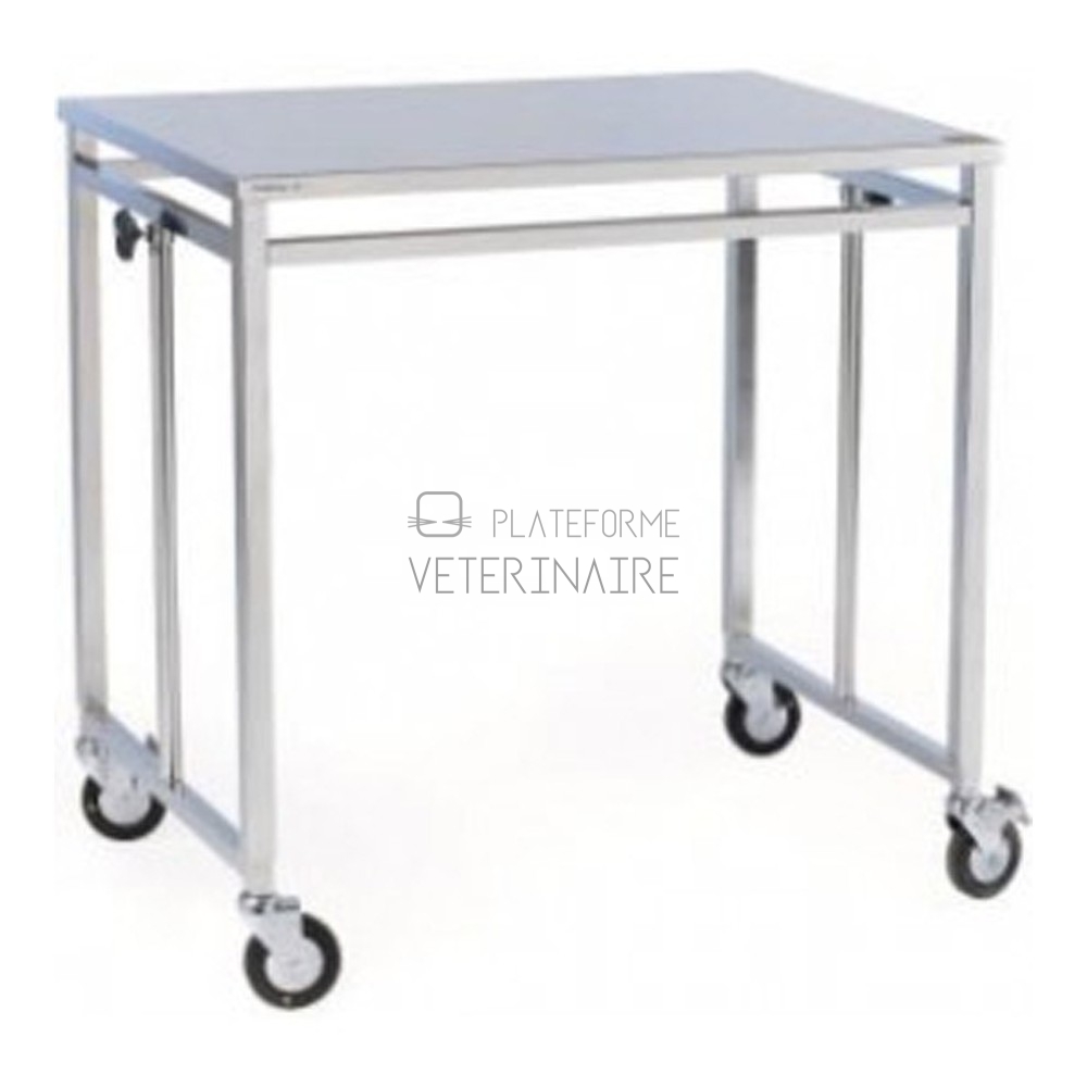 TABLE PONT INOX AVEC ROUES A FREIN